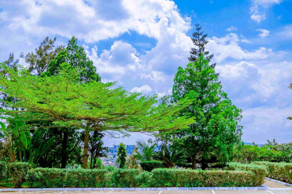 Garden Area Photo at Nature Kigali