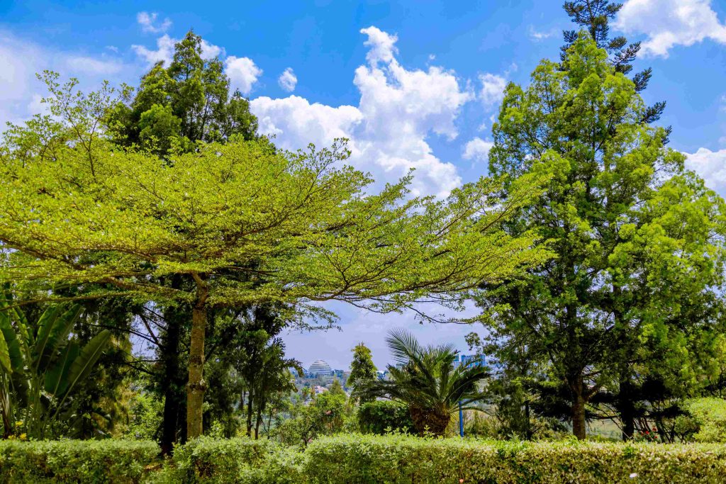 Garden Area Photo at Nature Kigali